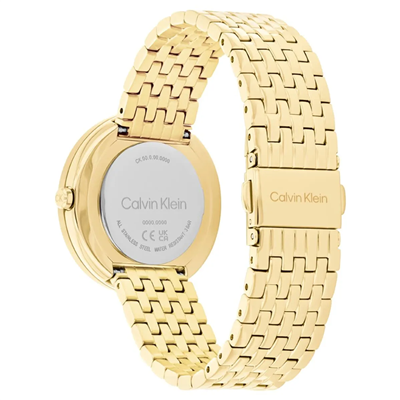 Calvin Klein CK25100066 Kadın Kol Saati