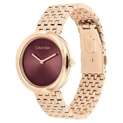 Calvin Klein CK25100067 Kadın Kol Saati