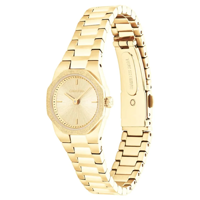 Calvin Klein CK25100142 Kadın Kol Saati