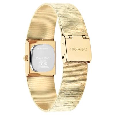 Calvin Klein CK25100178 Kadın Kol Saati