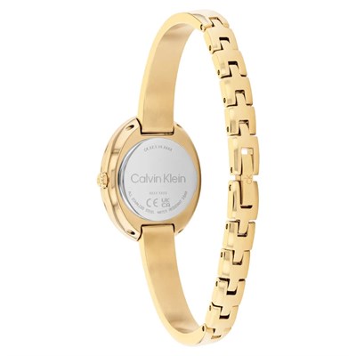 Calvin Klein CK25100203 Kadın Kol Saati