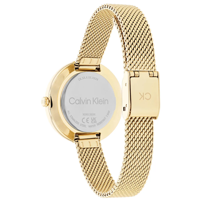 Calvin Klein CK25200186 Kadın Kol Saati