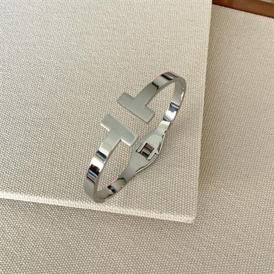 İkili Çelik Kelepçe