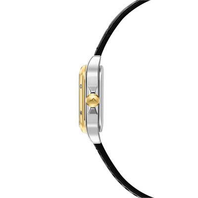 Roche Montre RML5026-01 Kadın Kol Saati