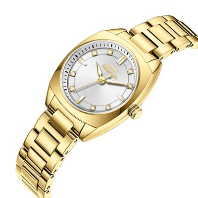 Slazenger SL.09.2597.3.130 Kadın Kol Saati