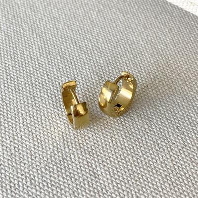 Taşlı Gold Halka Çelik Küpe Kombin 