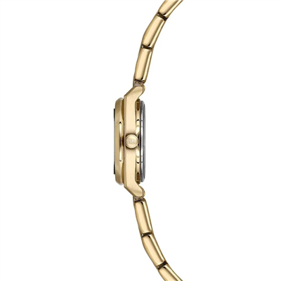 U.S. Polo Assn. USPA2139-03 Kadın Kol Saati