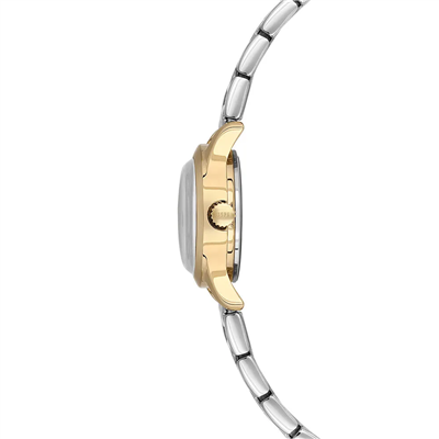 U.S. Polo Assn. USPA2127-03 Kadın Kol Saati