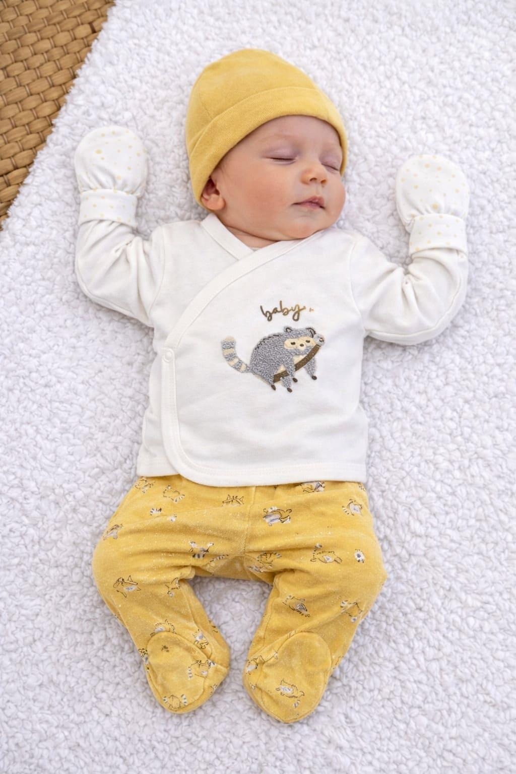 Süzene Rakun Nakışlı Yenidoğan Erkek Bebek 5li Zıbın Set