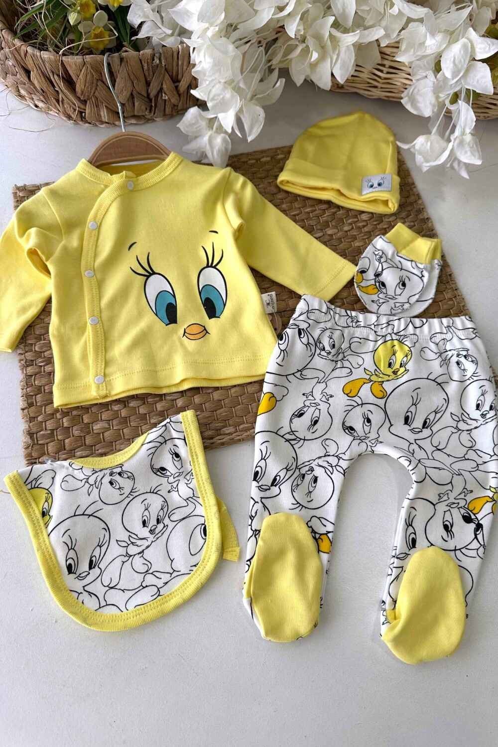 Kız Bebek Hastane Çıkış Seti