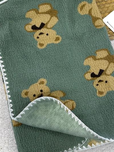 Ayıcık Desenli Polar Welsoft Bebek Battaniyesi (90x100 Cm)