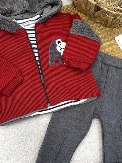 Süzene Ayıcık Nakışlı Kapşonlu Ceketli Erkek Bebek 3lü Takım (6-9/9-12/12-18 Ay)