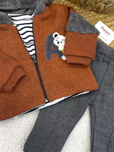 Süzene Ayıcık Nakışlı Kapşonlu Ceketli Erkek Bebek 3lü Takım (6-9/9-12/12-18 Ay)