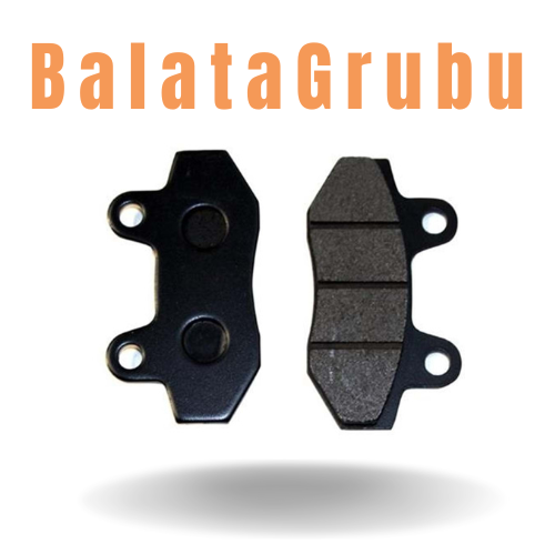ELCİK SÜNGERİ