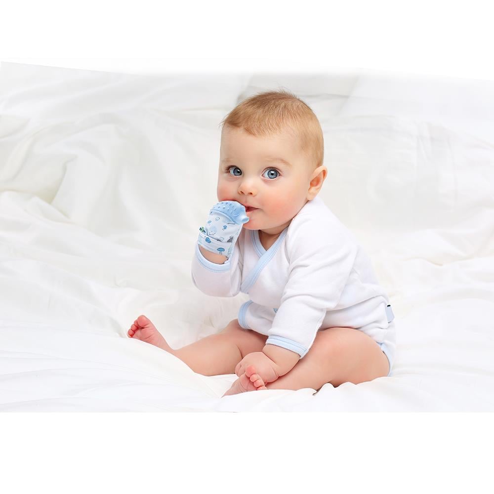 Babyjem Diş Kaşıyıcı Eldiven Kirpi