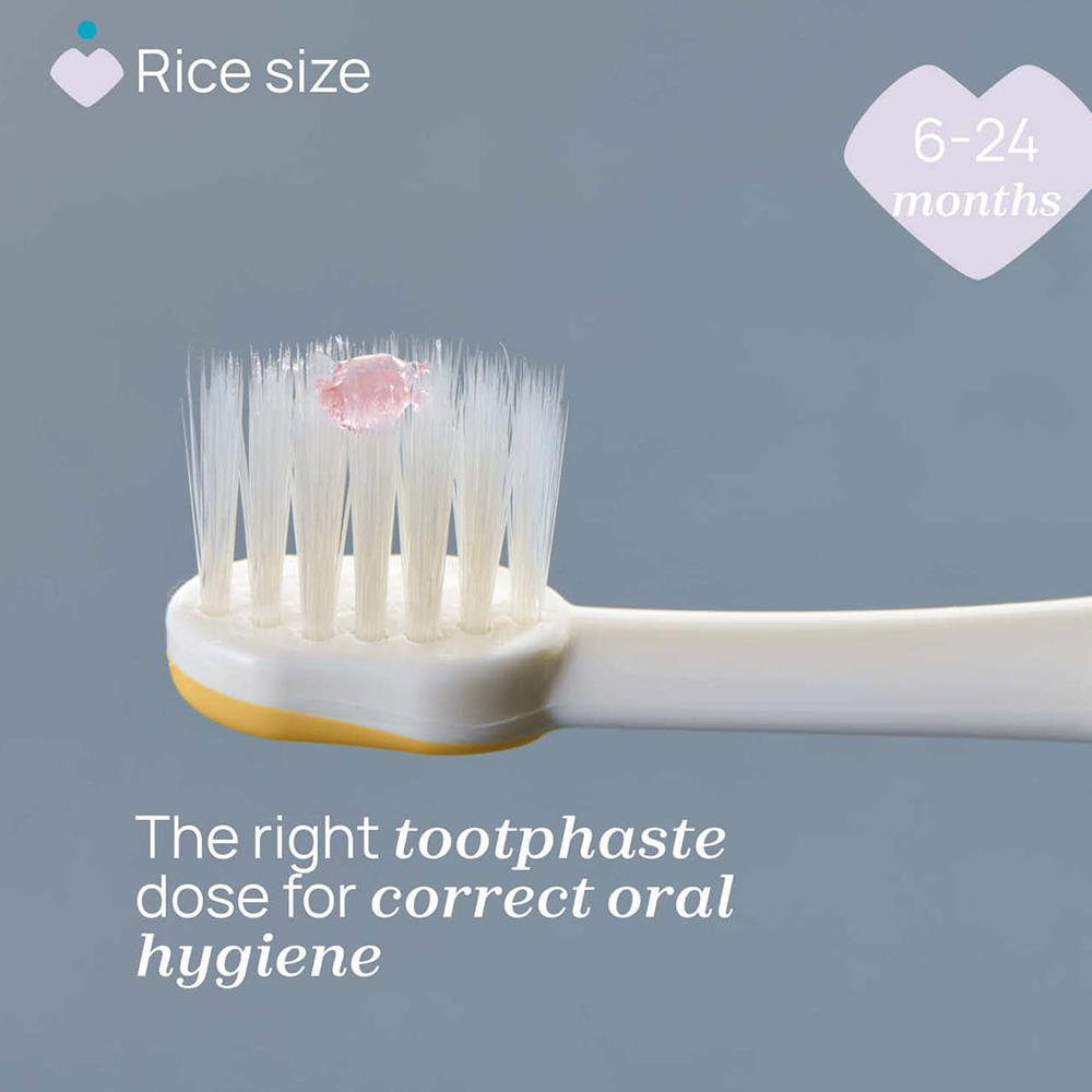 CHİCCO 2li Diş Fırçası Mustard Lilac ( 3-36 Ay )