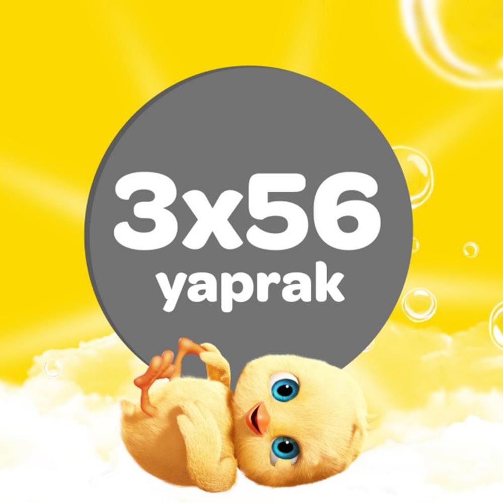 DALİN 56*3 Kapaklı Islak Mendil 