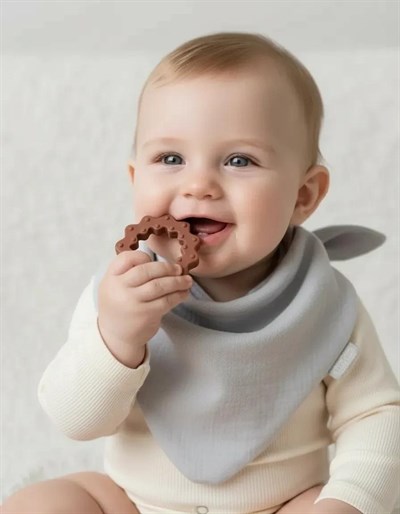 Babyjem Önlük Ahşap Diş Kaşıyıcılı Bürümcük Asorti