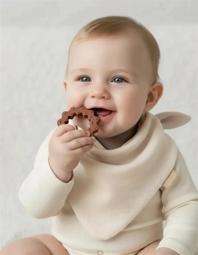 Babyjem Önlük Ahşap Diş Kaşıyıcılı Bürümcük Asorti