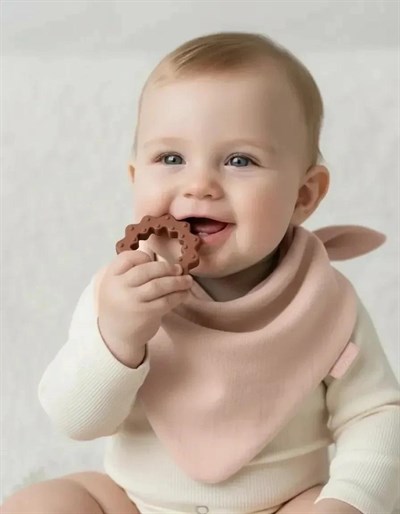 Babyjem Önlük Ahşap Diş Kaşıyıcılı Bürümcük Asorti