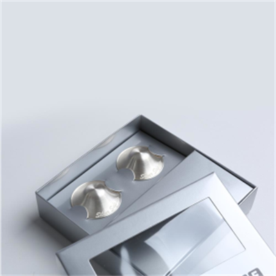 Silver Safe 925 Ayar Gümüş Koruyucu Göğüs Kapak