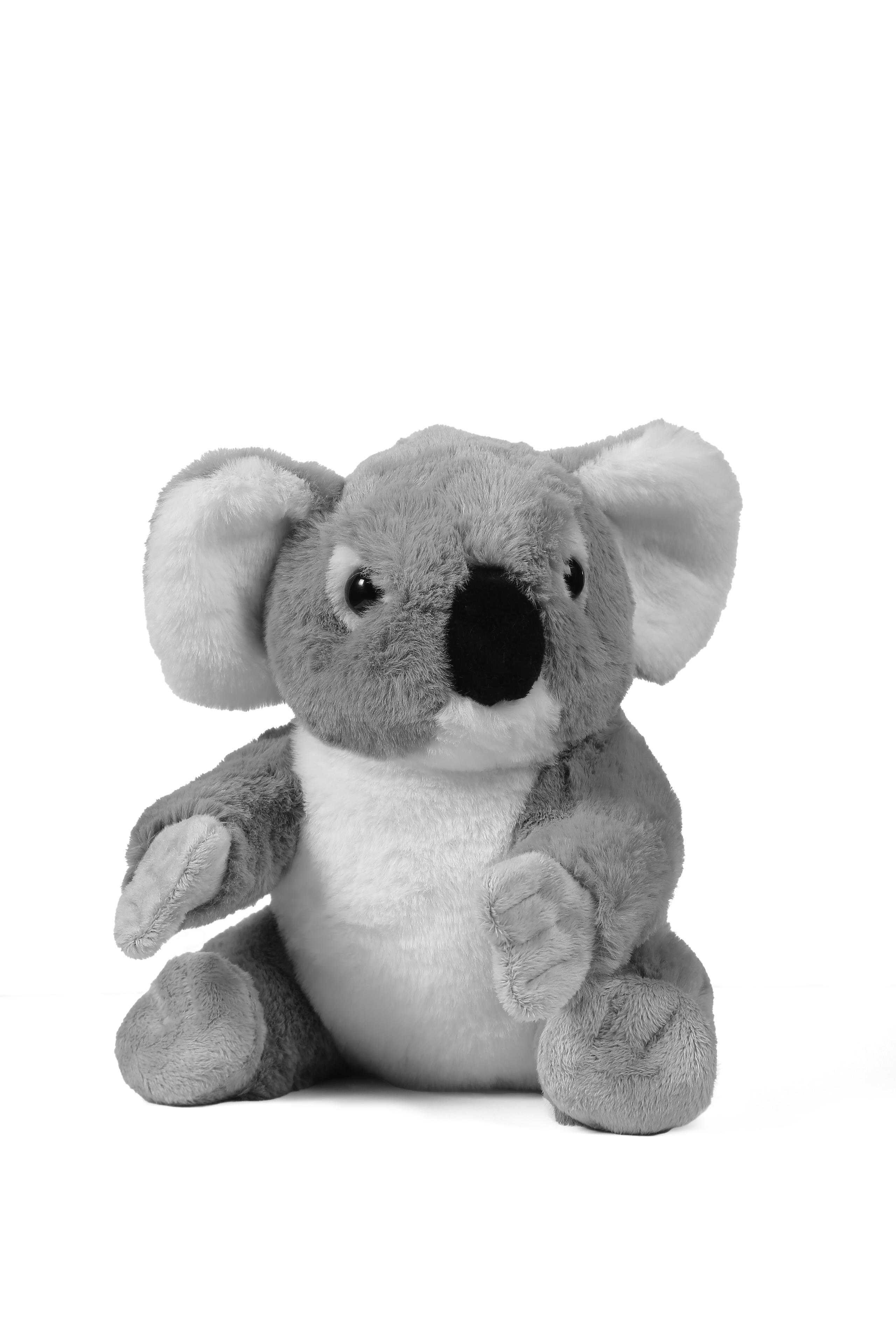 Bondigo Uykucu Duddy