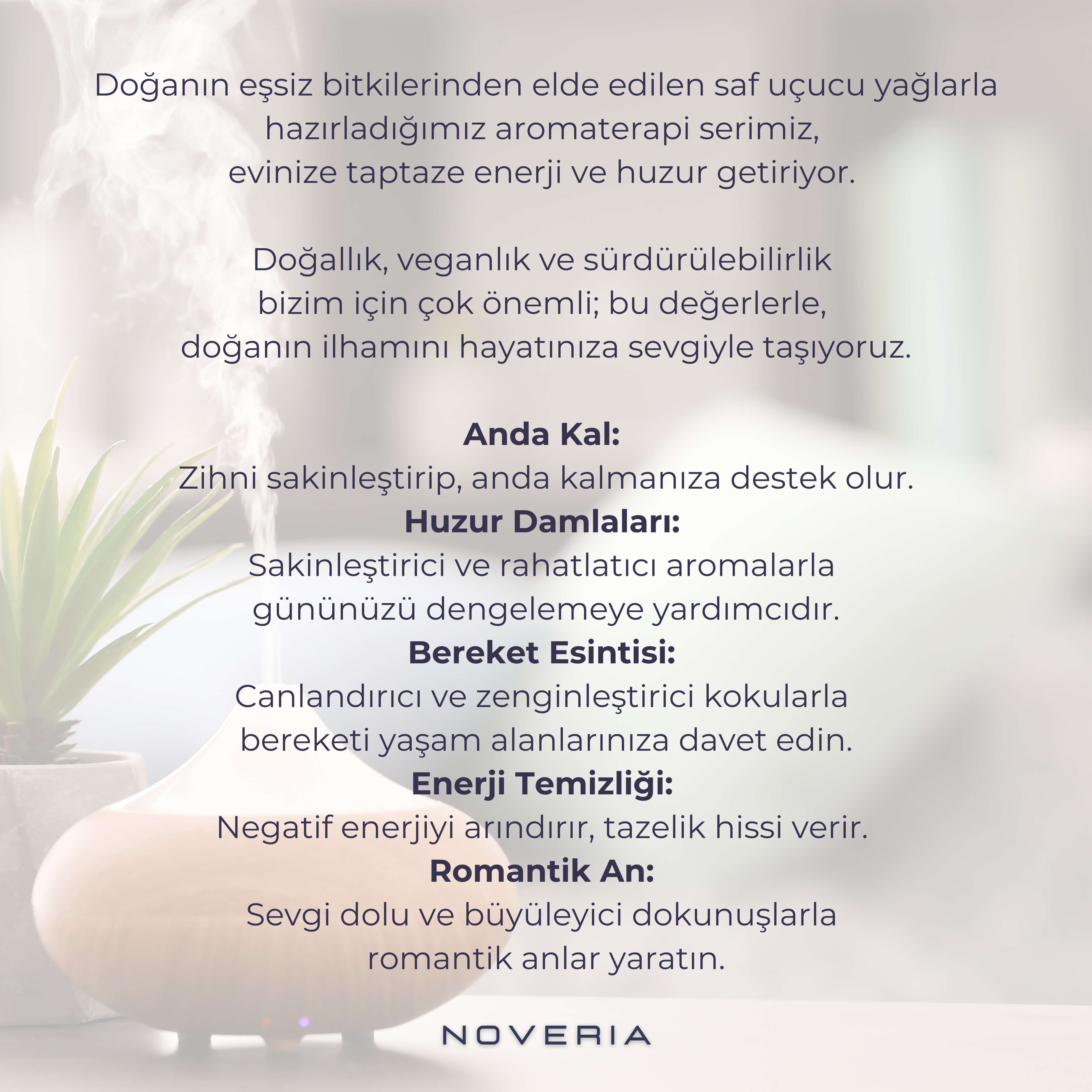 Anda Kal Aromaterapi Uçucu Yağ Karışımı - 10 ml
