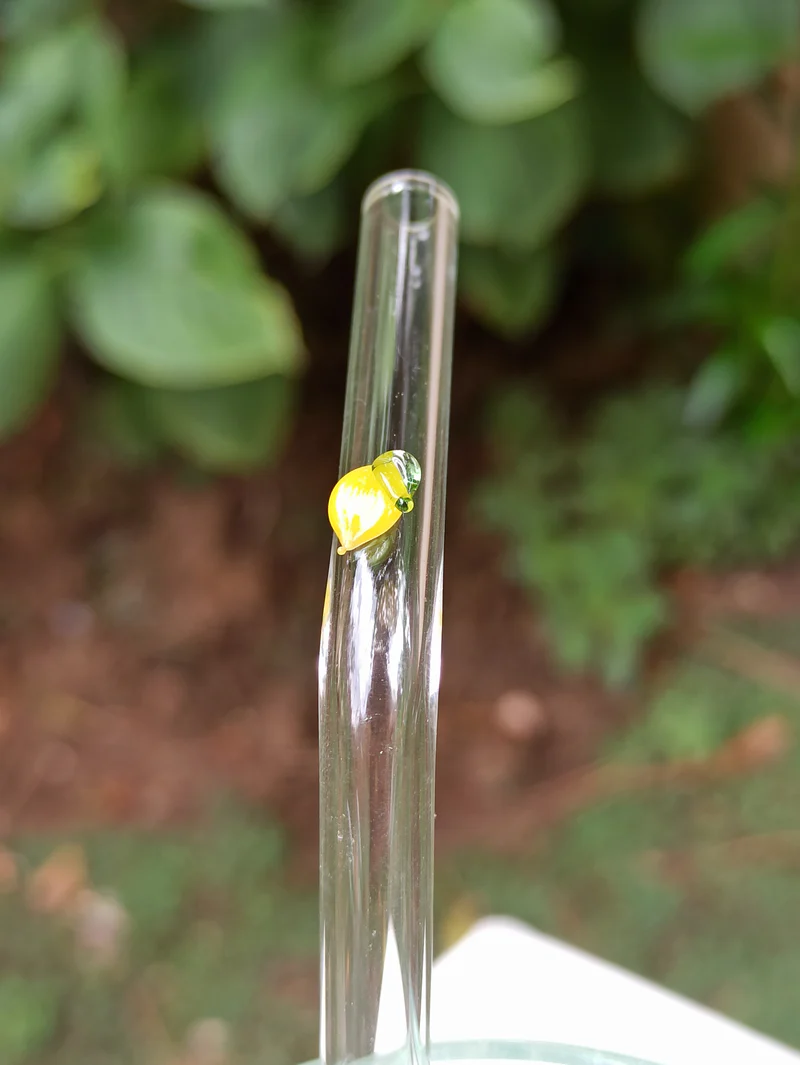 Cen Cam - Meyve Desenli Cam Pipet (4lü Kıvrık)