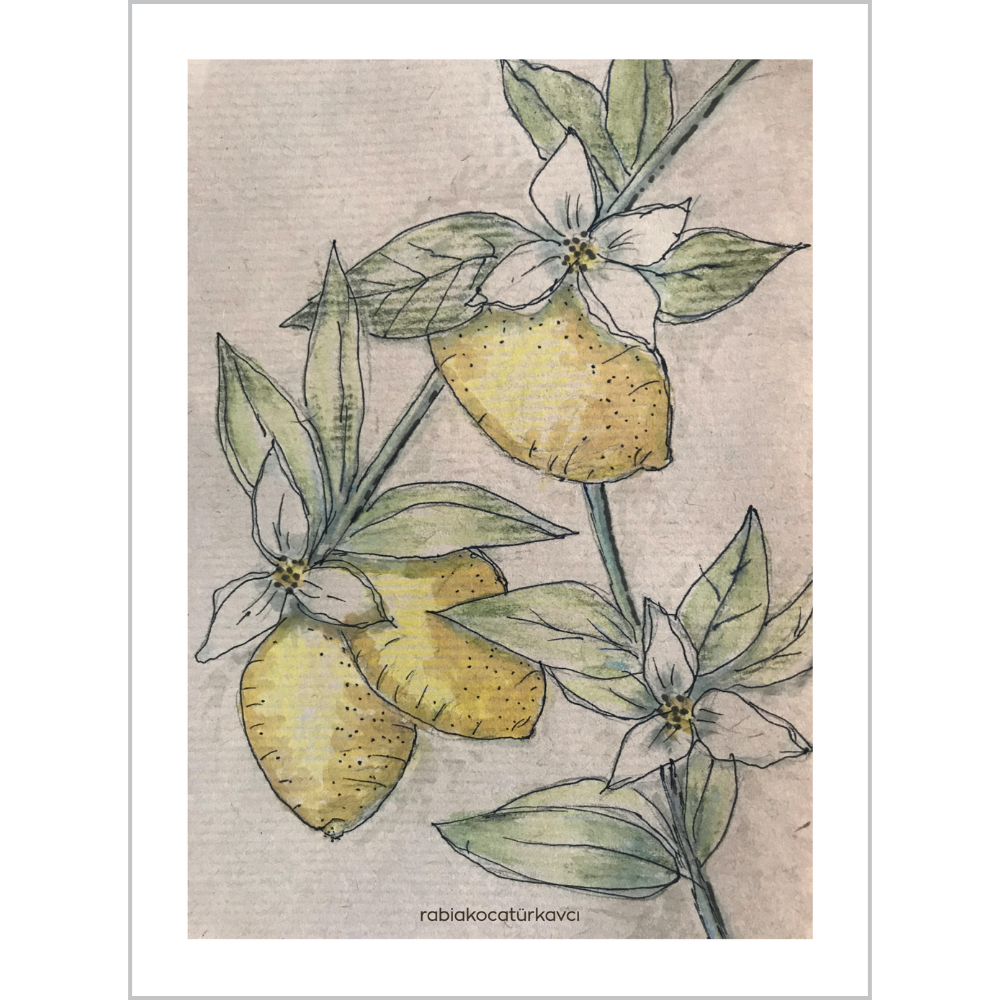 Lemon Garden - Dijital Baskı
