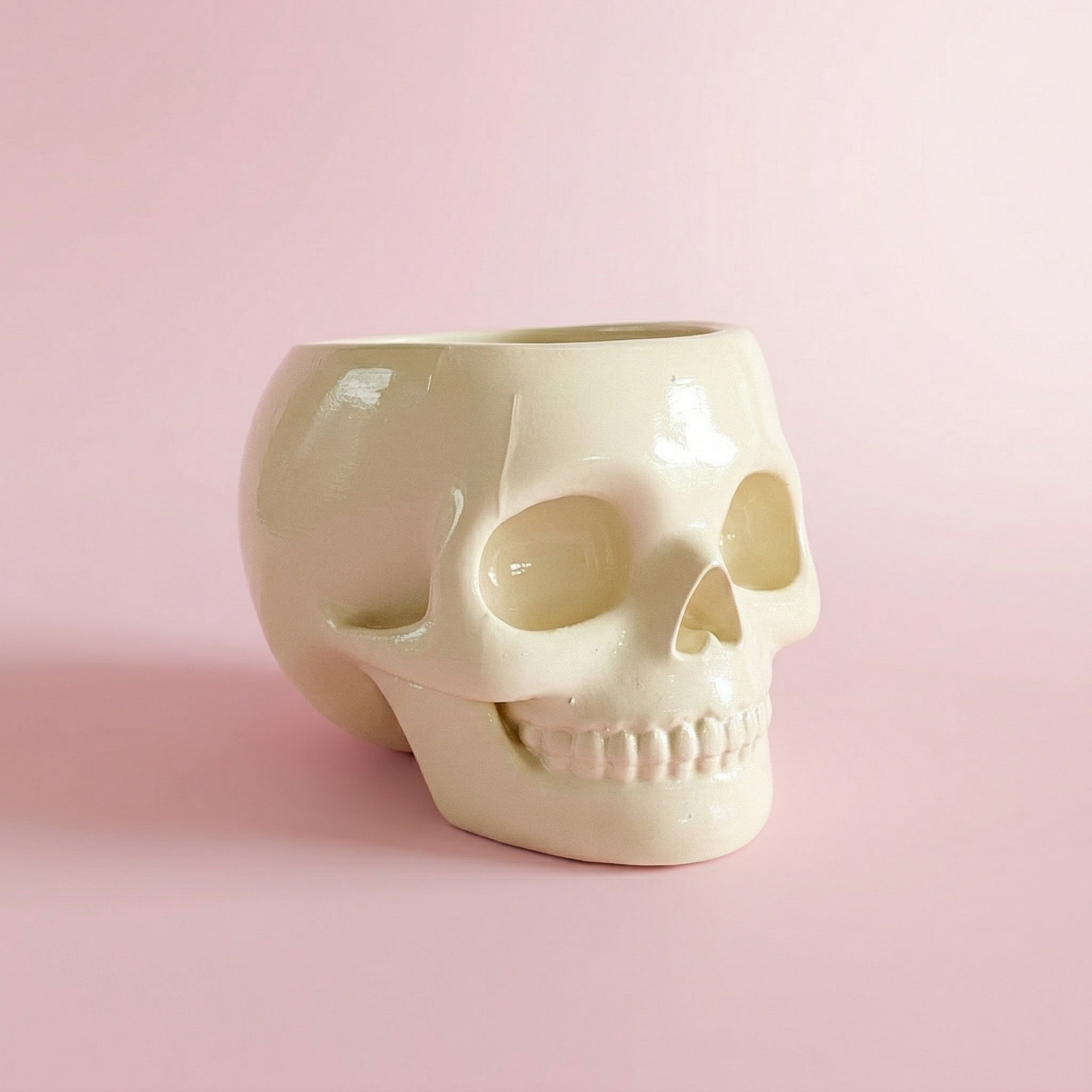 The Skull Bowl | Kemik