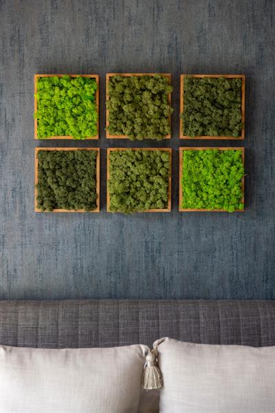 ·Quadratus Moss · Ahşap Çerçevede Canlı Yosun Tablo