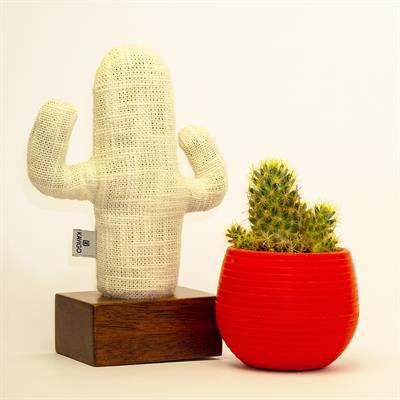 Kayıgo Cactus Lavanta Dolgulu Notluk