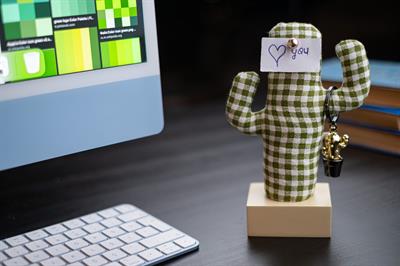 Kayigo Woody Krem Üçlü Ofis  Seti - Pötikareli Cactus