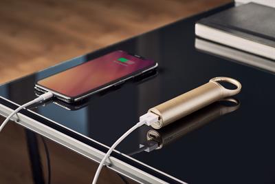 Lexon Nomaday Powerbank Dore