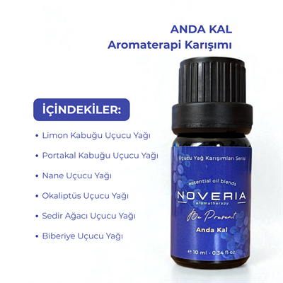 Anda Kal Aromaterapi Uçucu Yağ Karışımı - 10 ml