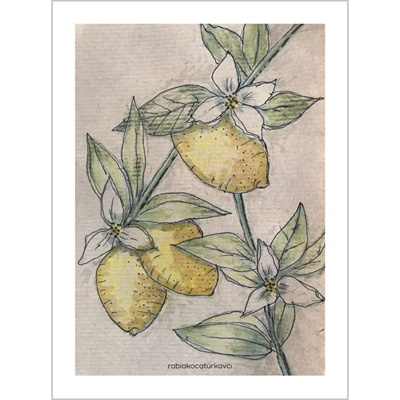 Artcard - Lemon Garden - Kartpostal
