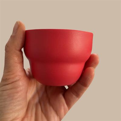 Başak Ceylaner / Aster Porselen Mug