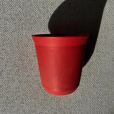 Başak Ceylaner / Lotus Porselen Espresso Mug