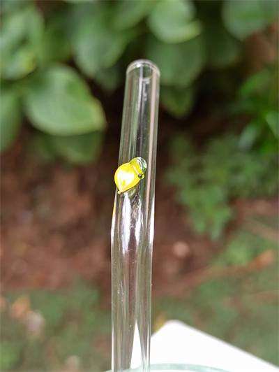 Cen Cam - Meyve Desenli Cam Pipet (4lü Kıvrık)