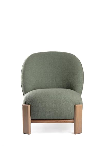 Cosmos Yeşil Berjer