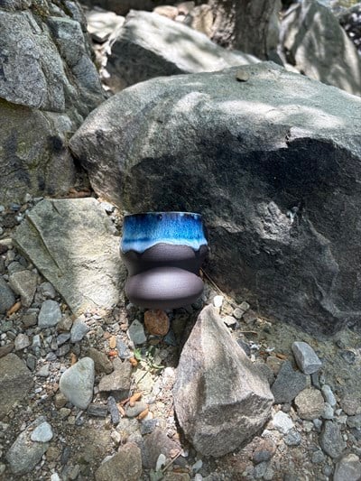 Darci Cup