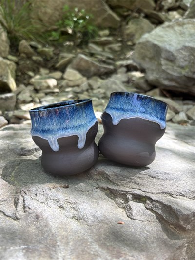 Darci Cup