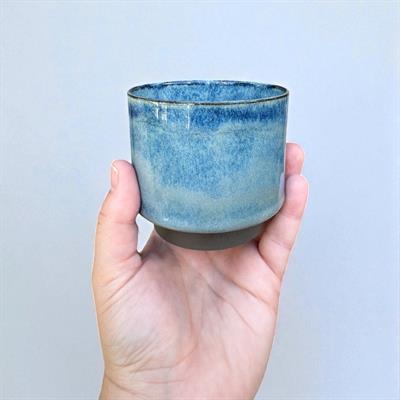 Ego Jr. Aonami