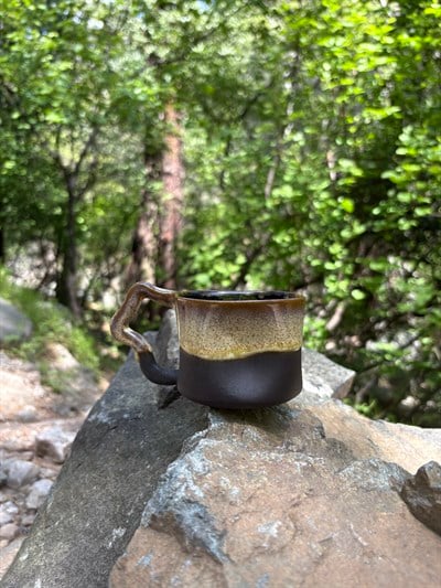 Holly Cup