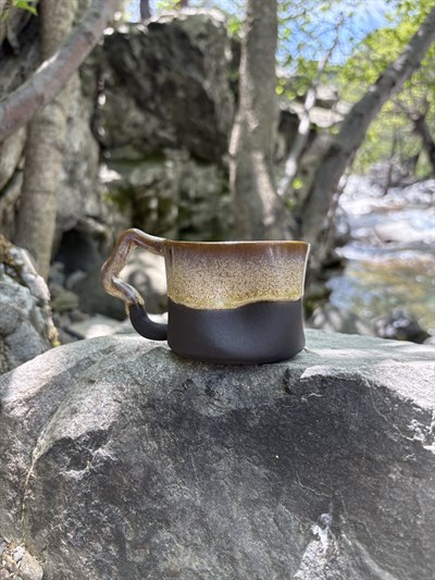 Holly Cup