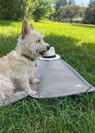 Hounds Tooth Grey Outing Mat