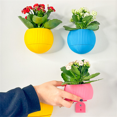 Hue Nest Duvar Saksısı