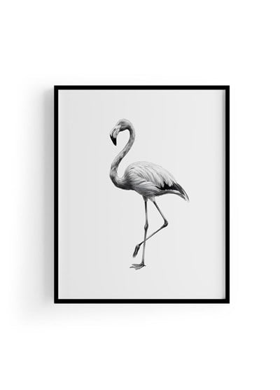 Karakalem Koleksiyonu Flamingo Posteri
