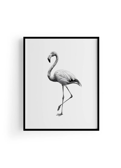 Karakalem Koleksiyonu Flamingo Posteri