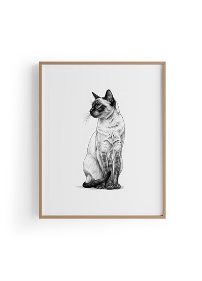 Karakalem Koleksiyonu Kedi Posteri